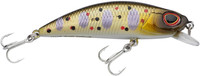 Brook Trout