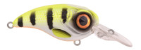 Hot Perch