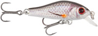 Smelt