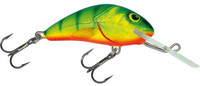 Hot Perch
