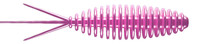 018 Pink Pearl