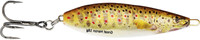 Brown Trout Fry
