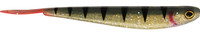 T Gold Perch