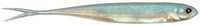 Crystal Lame Aurora