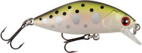 Trout