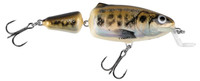 Muted Minnow