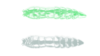 Glow UV Green