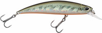 Minnow