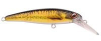 CARP