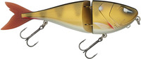 Golden Zander