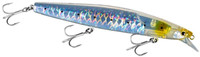 S Sardine