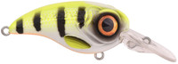 Hot Perch