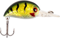 Green Perch
