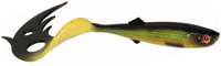 Tench