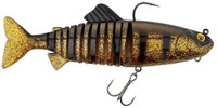 Golden Perch