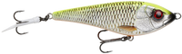 Lemon Roach