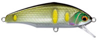 08 Sweetfish Foil
