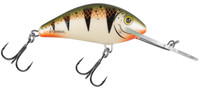 Nordic Perch