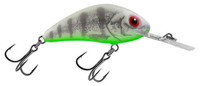 Ghost Perch