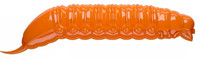 Hot Orange