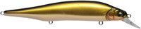 Wakin Golden Shiner