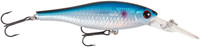 Blue Roach