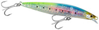 C Sardine