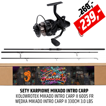 Twój Set Karpiowy MIkado Intro Carp II